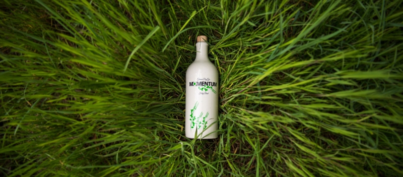 Momentum German Dry Gin Holy Basil Flasche im Gras der Wümmewiesen